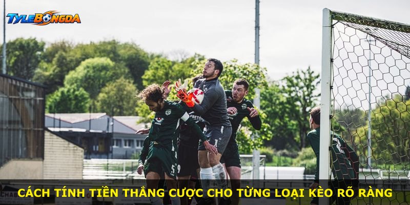 Cách tính tiền thắng cược cho từng loại kèo rõ ràng
