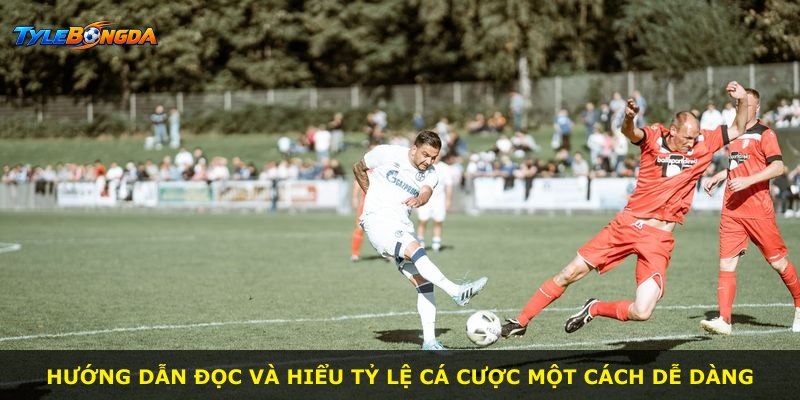 Hướng dẫn đọc và hiểu tỷ lệ cá cược một cách dễ dàng