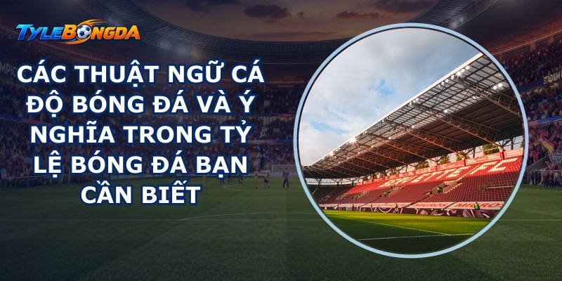 Các thuật ngữ cá độ bóng đá