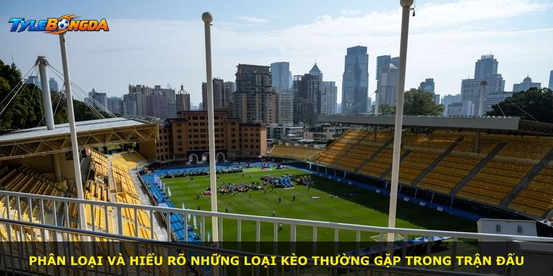 Phân loại và hiểu rõ những loại kèo thường gặp trong trận đấu