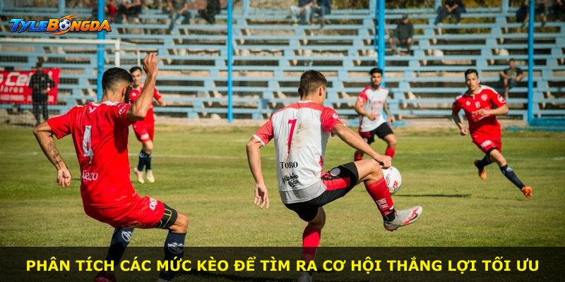 Phân tích các mức kèo để tìm ra cơ hội thắng lợi tối ưu