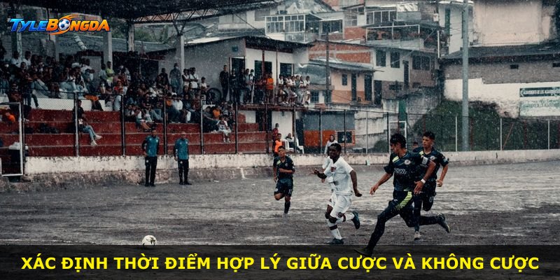 Xác định thời điểm hợp lý giữa cược và không cược