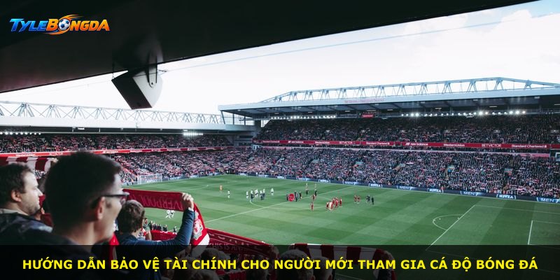 Hướng dẫn bảo vệ tài chính cho người mới tham gia cá độ bóng đá