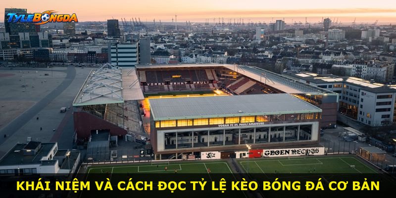 Khái niệm và cách đọc tỷ lệ kèo bóng đá cơ bản