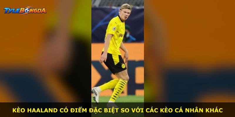 Kèo Haaland có điểm đặc biệt so với các kèo cá nhân khác
