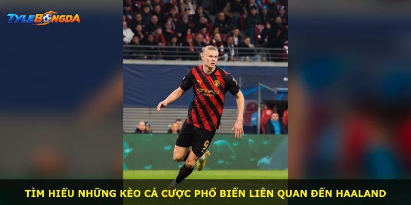 Tìm hiểu những kèo cá cược phổ biến liên quan đến Haaland