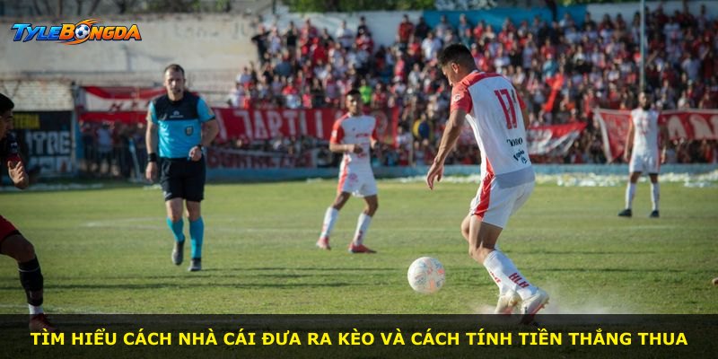 Tìm hiểu cách nhà cái đưa ra kèo và cách tính tiền thắng thua
