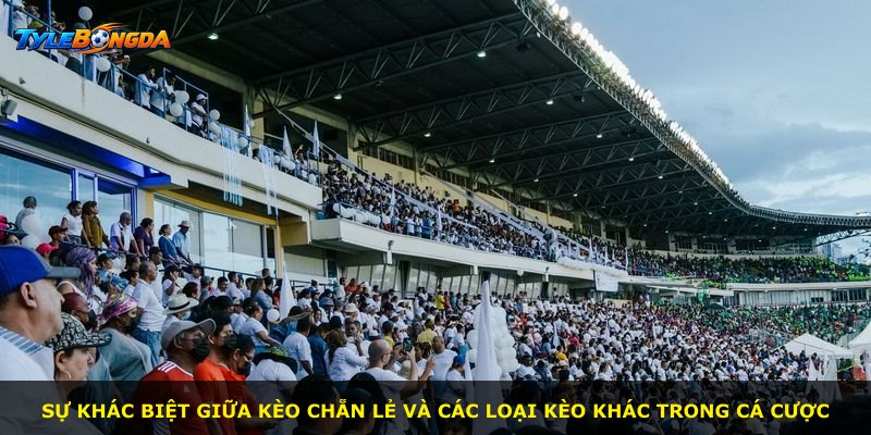 Sự khác biệt giữa kèo chẵn lẻ và các loại kèo khác trong cá cược