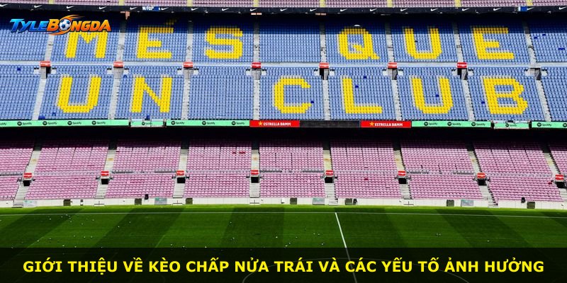Giới thiệu về kèo chấp nửa trái và các yếu tố ảnh hưởng