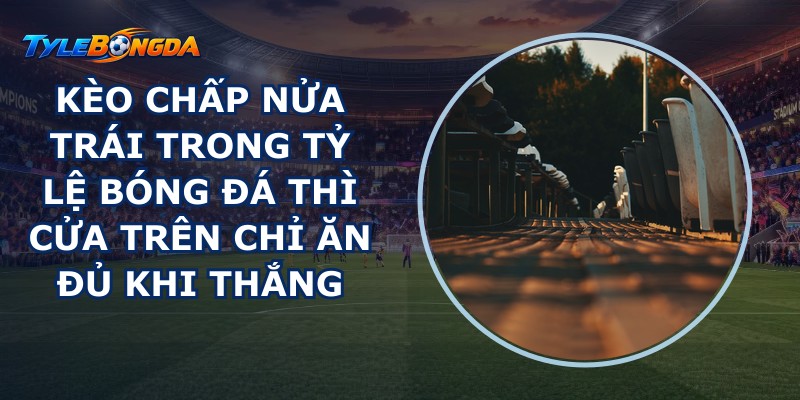 Kèo chấp nửa trái