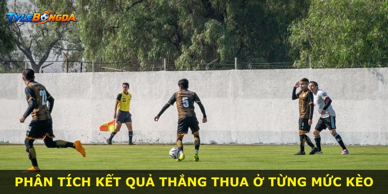 Phân tích kết quả thắng thua ở từng mức kèo