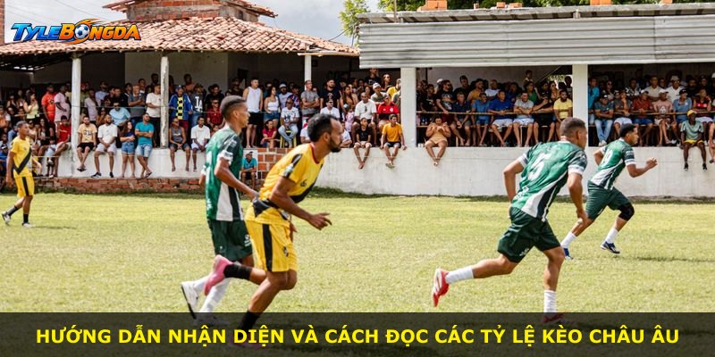 Hướng dẫn nhận diện và cách đọc các tỷ lệ Kèo Châu Âu