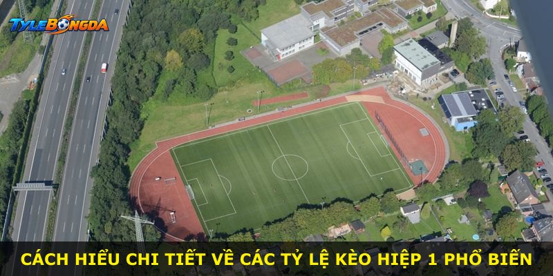 Cách hiểu chi tiết về các tỷ lệ kèo hiệp 1 phổ biến