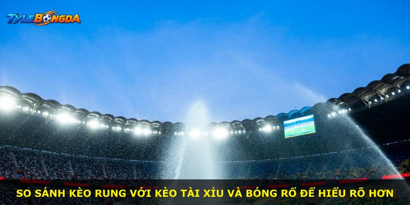 So sánh kèo rung với kèo tài xỉu và bóng rổ để hiểu rõ hơn