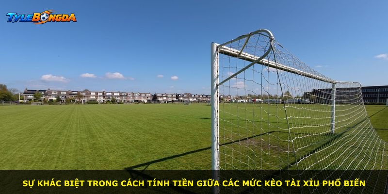 Sự khác biệt trong cách tính tiền giữa các mức kèo tài xỉu phổ biến