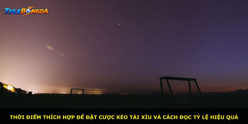 Thời điểm thích hợp để đặt cược kèo tài xỉu và cách đọc tỷ lệ hiệu quả