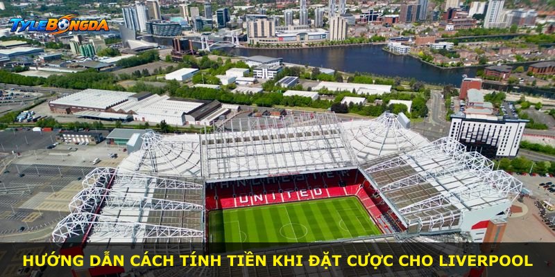 Hướng dẫn cách tính tiền khi đặt cược cho Liverpool