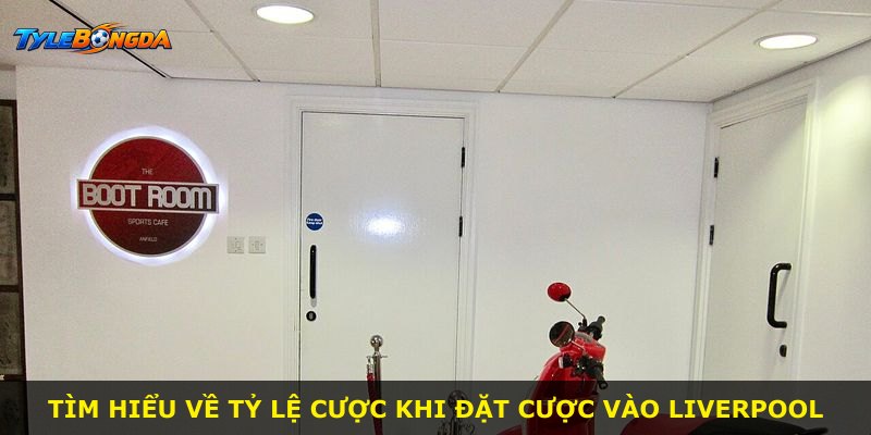 Tìm hiểu về tỷ lệ cược khi đặt cược vào Liverpool