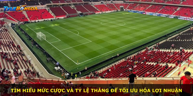 Tìm hiểu mức cược và tỷ lệ thắng để tối ưu hóa lợi nhuận