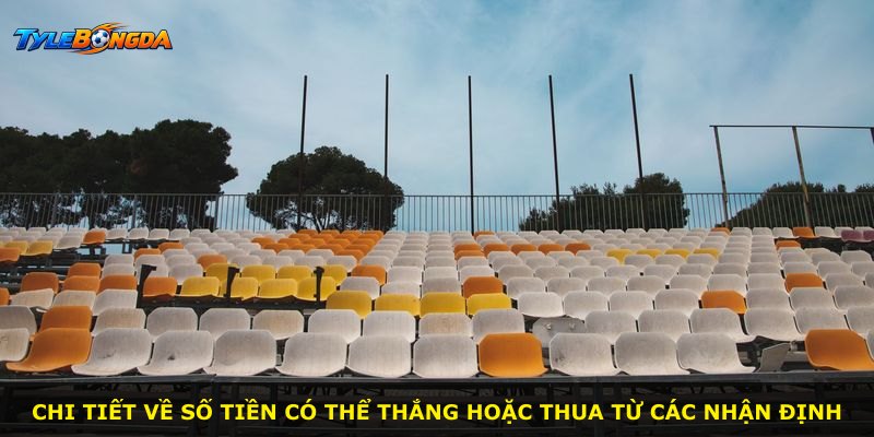 Chi tiết về số tiền có thể thắng hoặc thua từ các nhận định