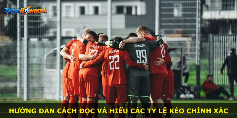 Hướng dẫn cách đọc và hiểu các tỷ lệ kèo chính xác