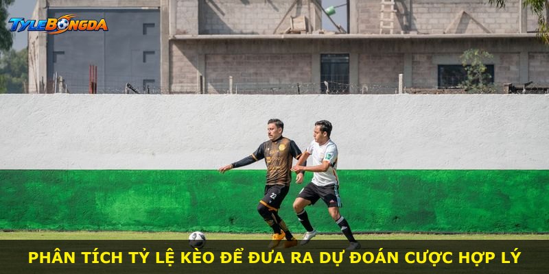 Phân tích tỷ lệ kèo để đưa ra dự đoán cược hợp lý