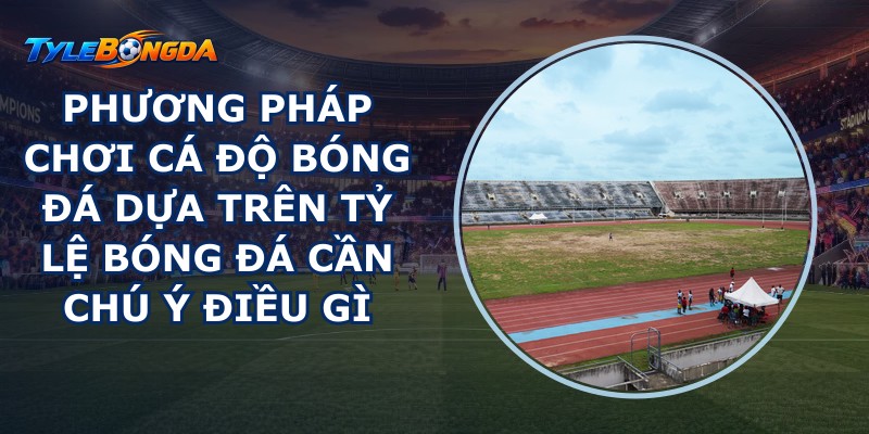 Phương pháp chơi cá độ bóng đá
