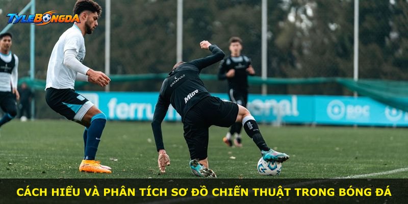 Cách hiểu và phân tích sơ đồ chiến thuật trong bóng đá