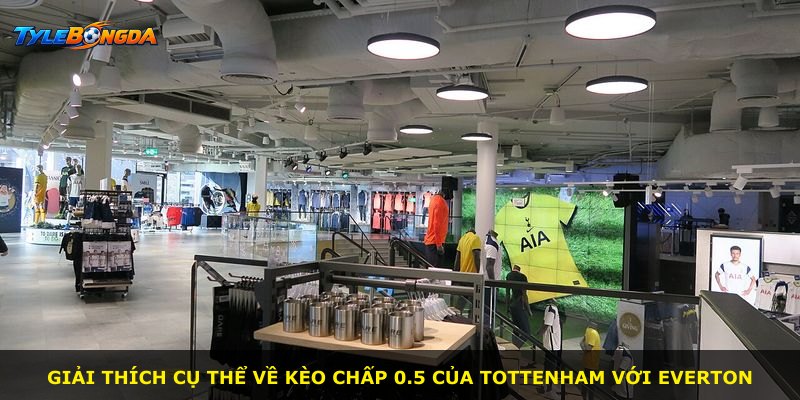 Giải thích cụ thể về kèo chấp 0.5 của Tottenham với Everton