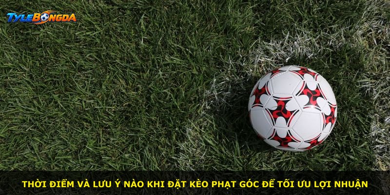 Thời điểm và lưu ý nào khi đặt kèo phạt góc để tối ưu lợi nhuận