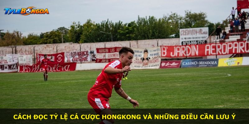 Cách đọc tỷ lệ cá cược Hongkong và những điều cần lưu ý