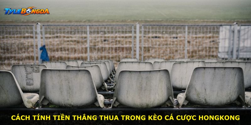 Cách tính tiền thắng thua trong kèo cá cược Hongkong