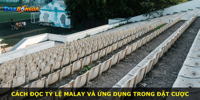 Cách đọc tỷ lệ Malay và ứng dụng trong đặt cược