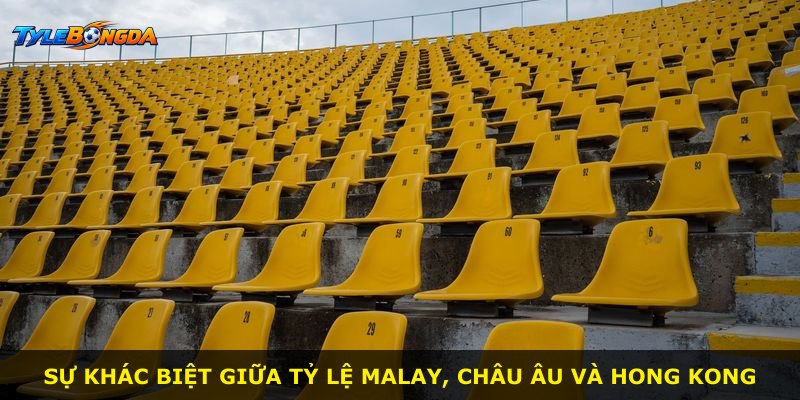 Sự khác biệt giữa tỷ lệ Malay, châu Âu và Hong Kong