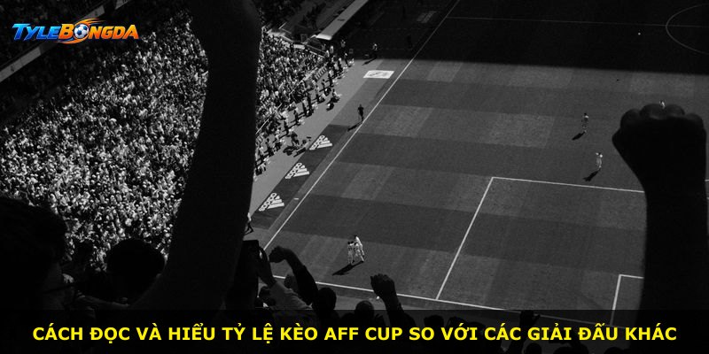 Cách đọc và hiểu tỷ lệ kèo AFF Cup so với các giải đấu khác