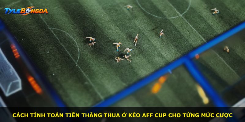 Cách tính toán tiền thắng thua ở kèo AFF Cup cho từng mức cược