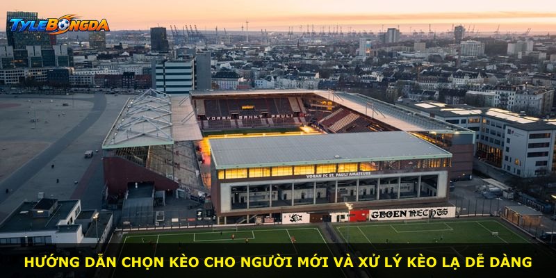 Hướng dẫn chọn kèo cho người mới và xử lý kèo lạ dễ dàng