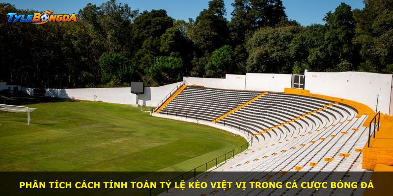 Phân tích cách tính toán tỷ lệ kèo việt vị trong cá cược bóng đá